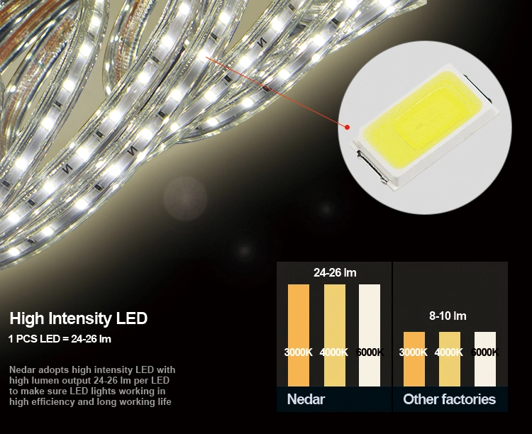 ETL UL Cert AC120V LED Strip Light SMD 2835 60LED Outdoor Using Waterproof IP65 Decoration Light