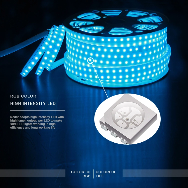 Flexible LED Strip Light 220V 120V 5050 RGB Chip 60LED