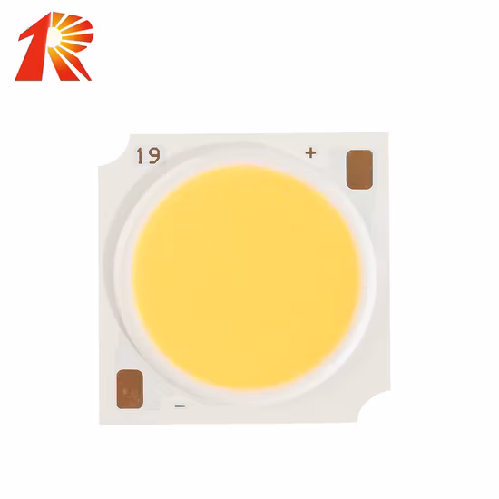 Downlight LED portátil Nova luz embutida montada na superfície anti-reflexo GU10 teto hotel habitação ajustável COB Slim LED downlight para casa, escritório, lojas