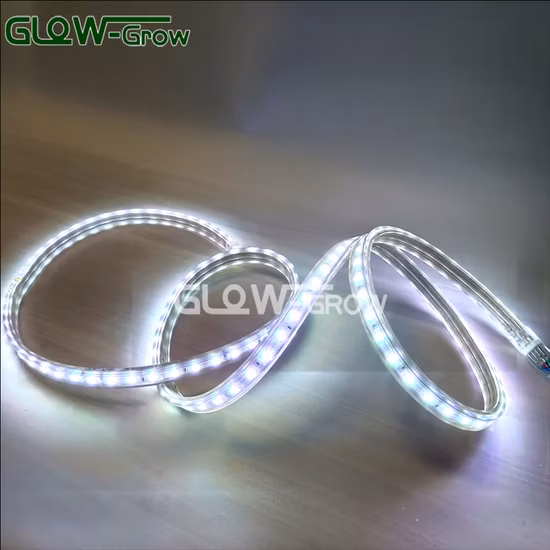 220V fábrica de alta tensão exterior flexível 5050 SMD 100m IP65 Fita LED à prova d'água com controle remoto para decoração de casa de eventos comerciais de Natal